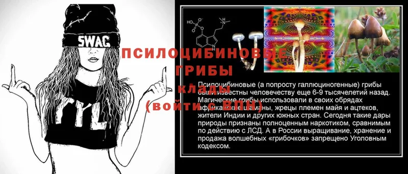 Псилоцибиновые грибы MAGIC MUSHROOMS  kraken   Куса 